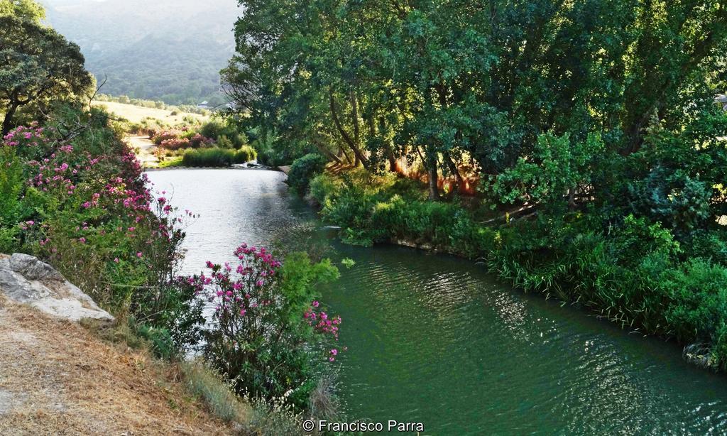 Casa Rural El Nacimiento Benaoján Extérieur photo